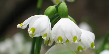 Frühling für die Konjunktur Frühling für die Konjunktur
