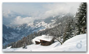 X-mas 2005