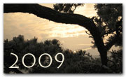 New Year 2009